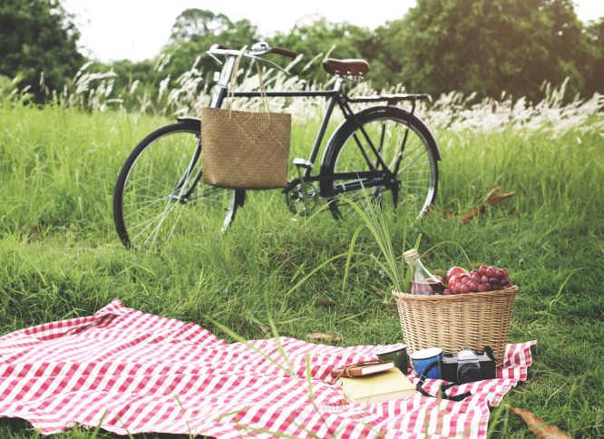 Old-Fashioned Picnic