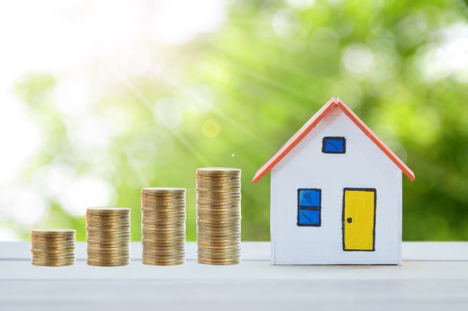 Coins And House