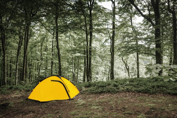Camping Tasmania