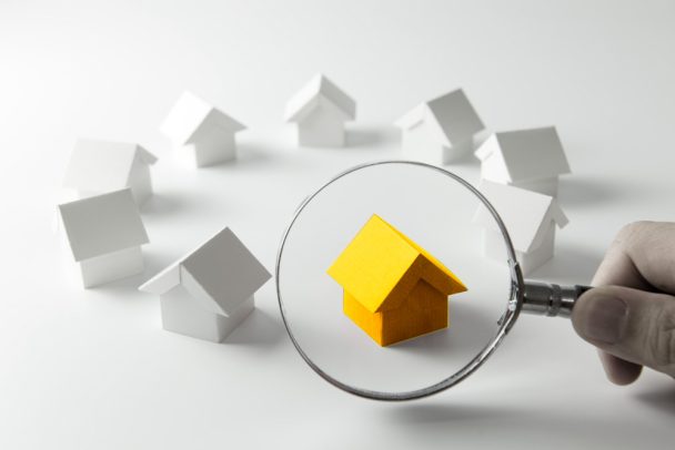 House Inspection Concept