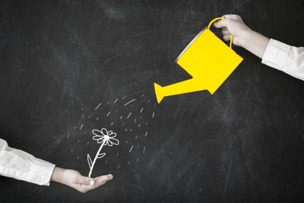 Small business advice growth