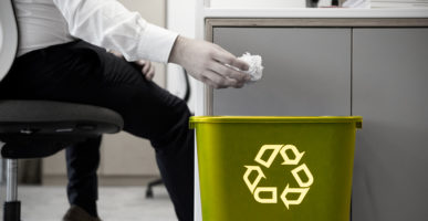 How Your Business Can Go Green