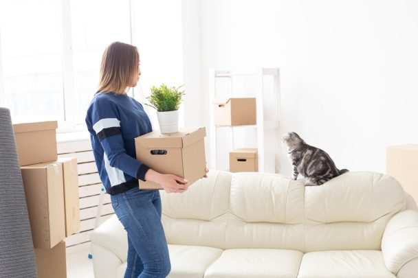 moving-house-with-a-cat